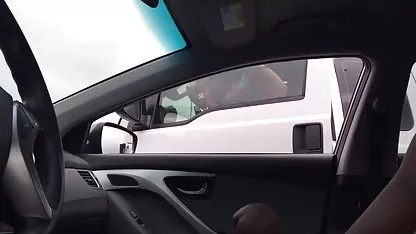 Anjing tua xxx indo net