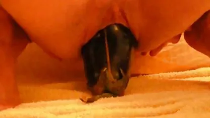 Pantai bokep xxxx indo sex